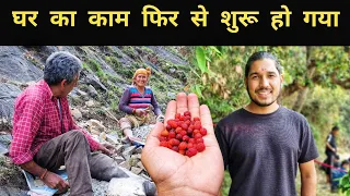 काम के बीच मां की बातें सुन सारे दुःख गायब हो जाते हैं | Pahadi Lifestyle Vlog | Pahad Wale Bhaiya.