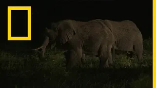 الموت قبل بزوغ الفجر: المكان الساكن | ناشونال جيوغرافيك أبوظبي