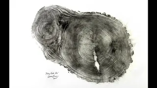 TreeCut  Art