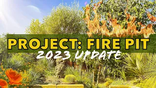 Sunken Fire Pit Update 2023 - Raised Beds, Rare Palms & Desert Planting!