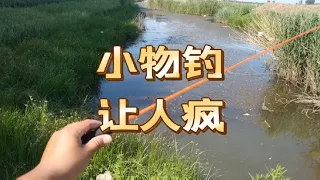 小伙试玩粉丝送的迷你鱼竿，用过之后，人气疯了！diy/挑战/测试【阿飞啥都玩】