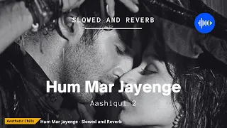 Hum Mar Jayenge - Aashiqui 2 [slowed and reverb] | Aesthetic Chills | Bollywood Lofi
