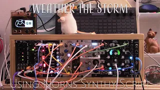 Weather the Storm - generative ambient eurorack modular video no. 52 [ norns synthy, morphagene ]