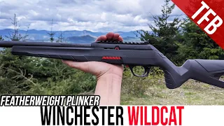 NEW Winchester Wildcat Review: Featherweight Plinker