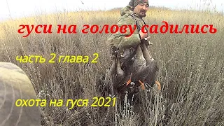 гуси на голову садились охота на гуся часть 2 глава 2 #охотанагуся2021