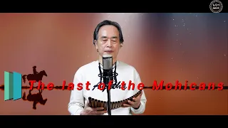 The last of the Mohicans - 팬플룻 Cover - 최순영 Panflute -  영화 라스트 모히칸 OST