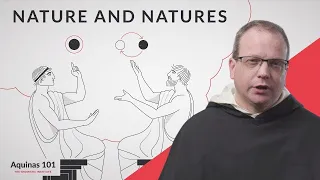 Nature and Natures (Aquinas 101)