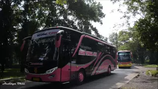 Konvoi 30 bus jambore nasional bismania community 2016 | Perang telolet dan klakson