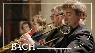 Bach - Cantata Herr Gott, dich loben alle wir BWV 130 - Van Veldhoven | Netherlands Bach Society