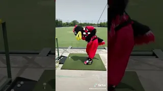 Tommy Hawk Fails To Swing The Golf Ball! ⛳🏑⛳🏑