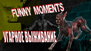 7 days to die Угар Смешные моменты Best Funny moments 1