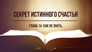 Кинслоу - Секрет истинного счастья.  Как не знать. Глава 14. Аудиокнига, Nikosho