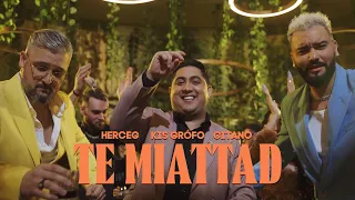 HERCEG x KIS GRÓFO x GITANO – Te miattad (Official Music Video)