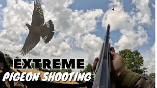 EXTREME Pigeon Shooting | Flighting Wood Pigeons