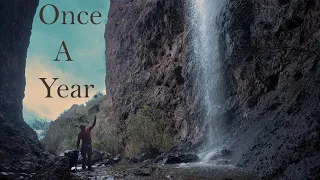 Exploring a desert oasis you never herd of. - Hidden waterfalls- Searching for gold mine with my dog