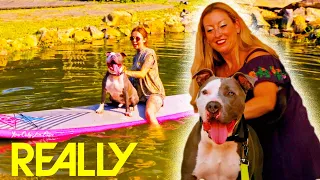 Energetic Rescue Dog Tries Paddle Board For The First Time! | Pit Bulls And Parolees