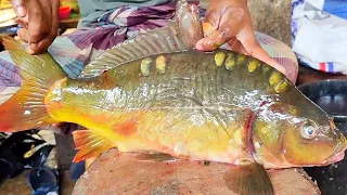 Mirror Carp Fish Cutting Skills Live in Local Fish Market | Amazing Fish Cutting Skills