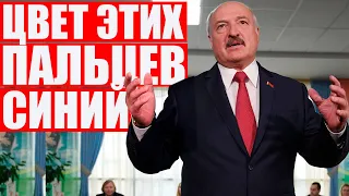 Песня, которая сделает ваш день | Лукашенко держится за кресло синими пальцами