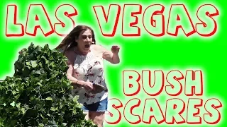 Ryan Lewis The Bushman Prank las Vegas S05E19 | @theryanaward | #funnyVideo | @youtube