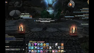 EASY MOUNT Final Fantasy XIV Solo Raid UnSynced