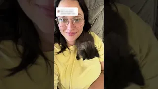 Woman Feeds and Takes Care of Rescued Kitten - 1504391-2