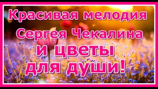 Красивая мелодия Сергея Чекалина  и цветы для души! Музыкальная открытка для друзей.