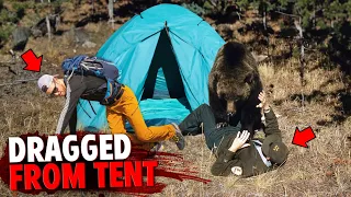 These 3 Campers Were EATEN ALIVE By Bear Inside Their Tent!