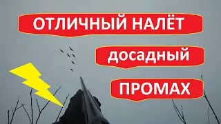 Охота на гуся в  Беларуси 2021г.