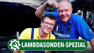 Oft getauscht - doch selten kaputt | Lambdasonden-Spezial | Die Autodoktoren