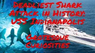 Deadliest Shark Attack in History: USS Indianapolis | Grotesque Curiosities