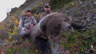 Grizzly Bear Hunt