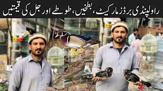 Sunday Birds Market Rawalpindi | Birds Market | Parrot, jal ,Ducks,Pigeons latest Prices