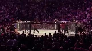 PANCADARIA GENERALIZADA APÓS KHABIB FINALIZAR MCGREGOR NO UFC 229