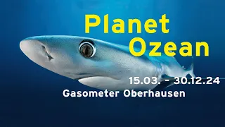 "Planet Ozean" Ausstellungstrailer