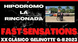 XX Clásico "GELINOTTE" G-II 2023 - FAST SENSATIONS - Hipódromo La Rinconada - C365