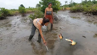 Two Brave Women Catch Giant Mud Crabs In Muddy after Water Low Tide