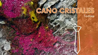 Caño Cristales - Colombia (teaser)