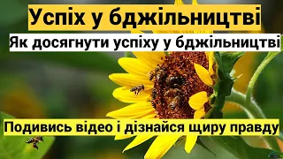 Як досягнути успіху у бджільництві! Що робити щоб вийти на високий рівень у бджільництві!