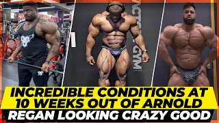 Can Andrew Jacked beat Samson & Hadi at Arnold ? Regan Grimes looking Nuts @sam+ Samson looks unreal