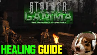 A Guide To Healing in Stalker GAMMA