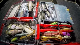 Swimbait Box Tour | Which Swimbaits Really Catch Fish?