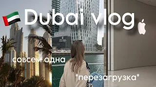 Dubai vlog 🇦🇪 Перезагрузка в Дубае за 2000$ | путешествие одной