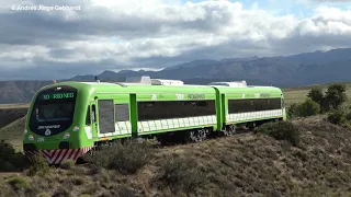 Tren Patagonico 2020 How to travel