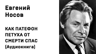 Евгений Носов КАК ПАТЕФОН ПЕТУХА ОТ СМЕРТИ СПАС Аудиокнига Слушать Онлайн