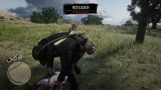 Free Roam in rdr 2  (intense combat)