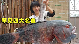 A Yumei fell into the sea when she got out of the cage. For this big fish  Yumei got wet directly.