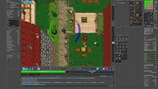 [PL] Bronie i Gemy - Wstepna Wersja Updatu - Tibia Test Server Summer Update 2024