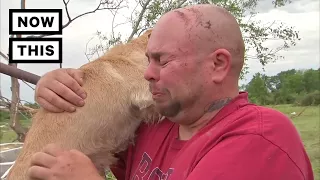 A Family Reunites With Their Dog After A Horrific Tornado | NowThis