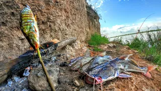 "UNA LOCURA LA PESCA"en los POZOS de 20 metros,ME CANSE DE SACAR PESCADO,AMARILLO ASADO-NICO REYNOSO