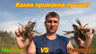 НА ЧТО ЛОВИТЬ РАКА? Ловля раков.Чеснок или Ракушка? Что лучше?